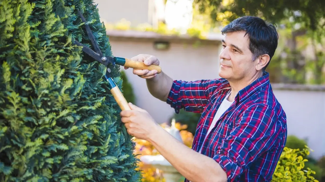 Landscaping Small Business Loans